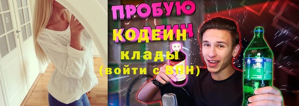 прущий лед Кодинск
