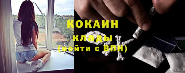 кокс Козловка