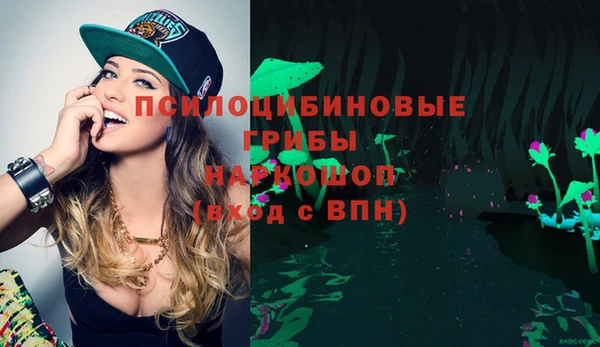 таблы Козельск