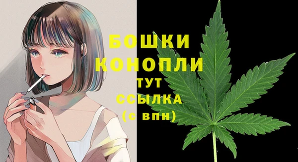 прущий лед Кодинск