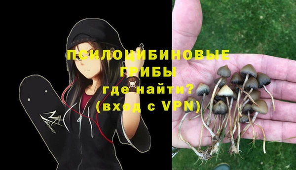кокс Козловка