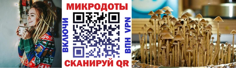 Купить где  Соль-Илецк  Галлюциногенные грибы прущие грибы 
